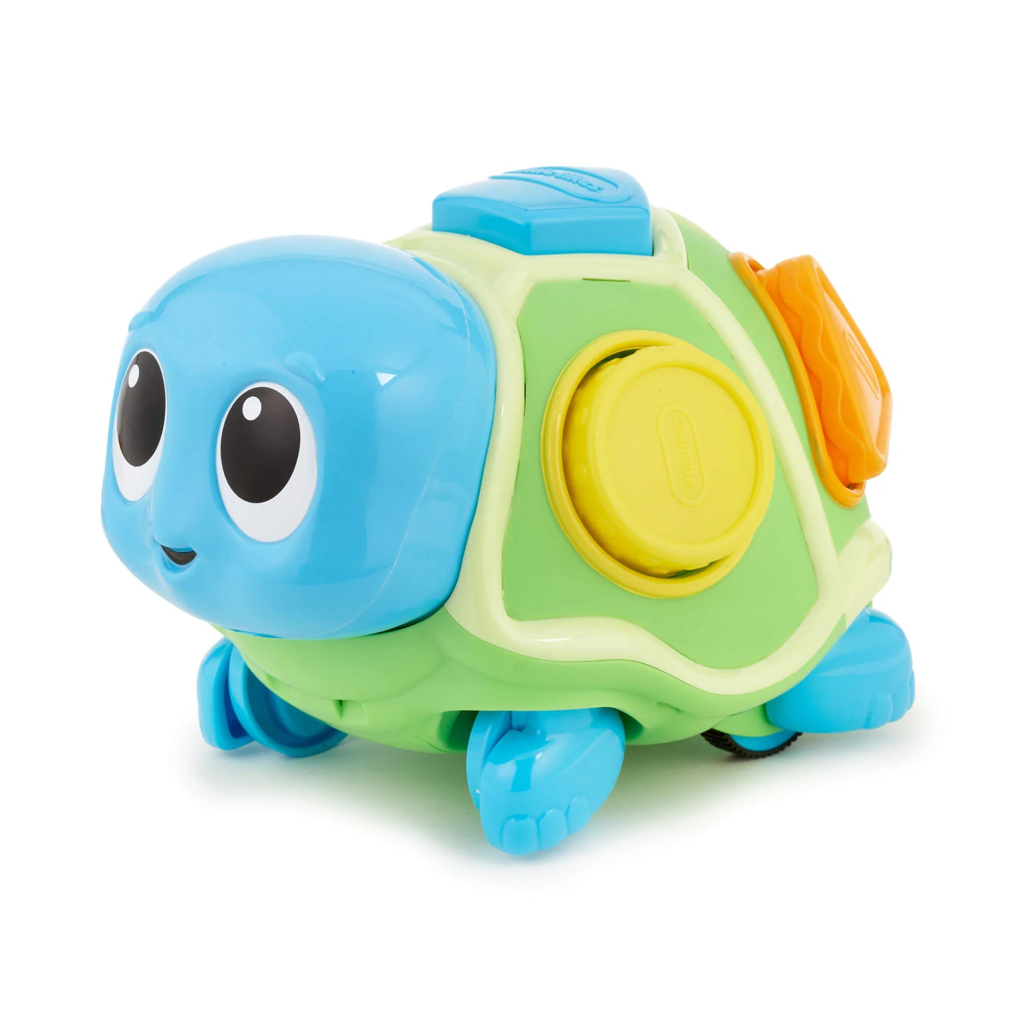 Crawl 'n Pop! Turtle